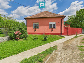 Casă cu 3 camere și teren generos l&acirc;ngă frontieră