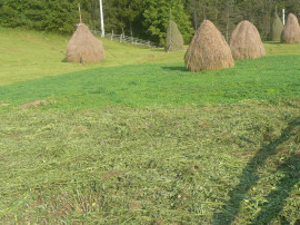Teren intravilan situat in Traisteni