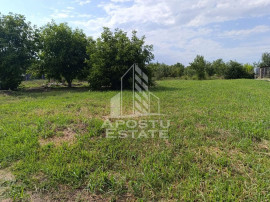 Teren intravilan in vatra satului Giarmata Vii de 683 mp