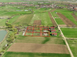 RECO , teren intravilan, Ineu,Bihor