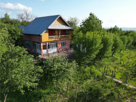 Pietrarie Vila P 1 s=164mp garaj beci teren 2000mp livada vi