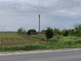 Teren intravilan - - centura - Cazasu - Braila