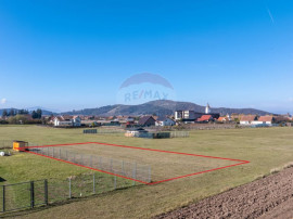 Teren Harman, Strada Henri Coanda, 1000mp