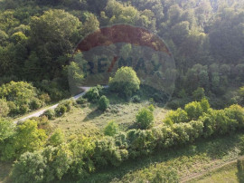 Teren de v&acirc;nzare &icirc;n Măgureni