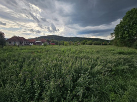 Casa si teren Birtin