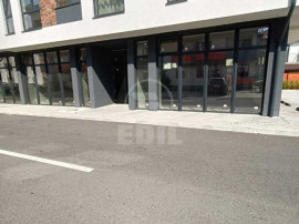 Spatiu comercial de vanzare, Terra