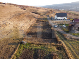 Teren de vanzare - Chinteni