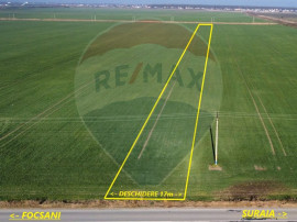 Teren 10,000mp Focsani / DJ 204D