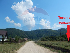 Teren extravilan Rasnov , Glajerie-Str Poiana velicanului...