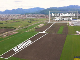 FILM! Teren intravilan, cu PUZ, pe 10.000 mp, Grivitei, Bras