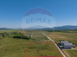 Teren Bran - Sohodol intrare 900-4800mp