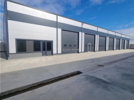 3 Hale metalice noi 2026 suprafata 550mp-fiecare