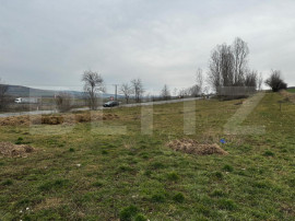Teren extravilan 6200mp zona Rahau