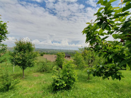 Teren intravilan - 2400 mp - 3 cabane din lemn modulare - Li