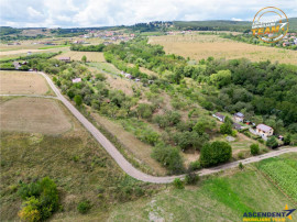 FILM! Confortabila ariere, 4.500 mp, arbori roditori, Sancra