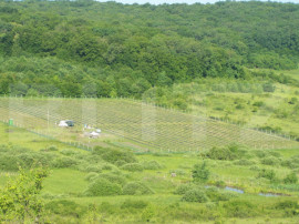 Afacere la Cheie: Plantație Afine &ndash; 1.93 Ha &ndash; Profit Ga