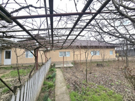 Casa parter, Zona Vidin cartier Teiului Mobilata complet