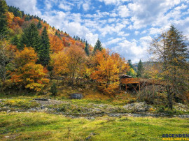 Teren intravilan panoramic 4.600 mp, view iconic Piatra Crai