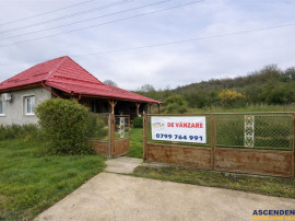 Film3D!Proprietate cu potential:casa, atelier,domeniu de 2.7