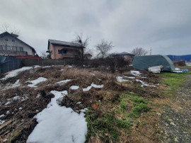 Teren 1000mp I De I Cernica I Pantelimon