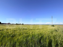 Teren parțial intravilan de v&acirc;nzare &ndash; 9.550 mp, Comuna P