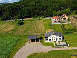 Casa eleganta, recent edificata, Voiniceni, 6km de Targu Mur