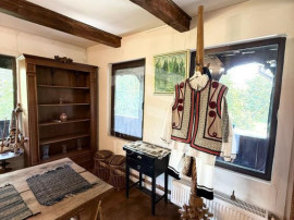 Casa autentixa maramureseana de vanzare in Snagov-Tancabesti
