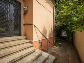 FERDINAND - PICTOR ION ANDREESCU, VILA INTERBELICA 211 MP TO