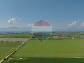 Teren industrial de v&acirc;nzare &ndash; DN13, Feldioara, Brasov!