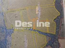 Oportunitate de investitie- teren Martinesti, Hunedoara