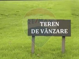 Teren 750mp Fantanele / Drumul principal