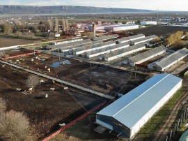 Spatiu industrial 9 hectare Pufesti