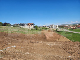 Teren intravilan 5600mp pt P+3 si 15 case insiruite in Cetat