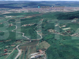 Teren de 11.5 ari (1150 mp) &icirc;ntr-o zonă liniștită, &icirc;n p