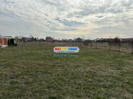 Teren intravilan - Domnesti - Intrarea Albastrelelor