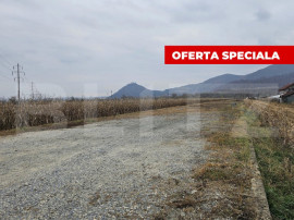 Oportunitate de Investiție de Top &icirc;n Șoimuș - 2600 mp te