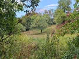 Teren construibil de v&acirc;nzare 990mp &icirc;n Barzava, județul...