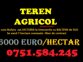 Teren AGRICOL categoria A- com Nufaru sat Victoria