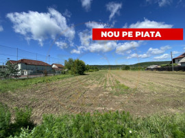 Teren intravilan 7.295 mp &ndash; Argeselu, Maracineni, AG