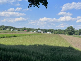Teren extravilan, 4000mp, Fratautii vechi