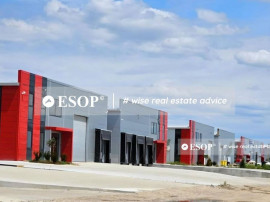 Vanzare Hale Industriale, Parc Premium, Chitila, Rudeni, ...