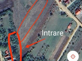 De v&acirc;nzare teren extravilan &icirc;n Calnic