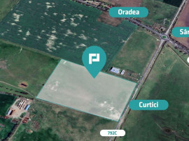 Teren 10,5 ha &icirc;n comuna Șimand, jud. Arad