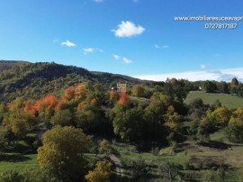 Teren intravilan 3500 mp Zona turistica Cacica Bucovina!