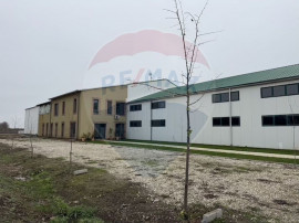 Ferma agro-industrială &ndash; 43 ha Adunații Copaceni