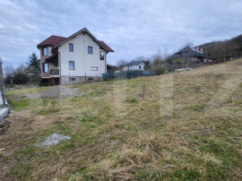 Teren 732 mp Intravilan in Sangeorgiu de Mures