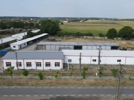 Hale depozitare/producție 2.000 mp si 10.000 mp teren &icirc;...