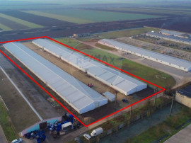 De v&acirc;nzare &ndash; 2 hale industriale, 5.050 mp utili, Palota