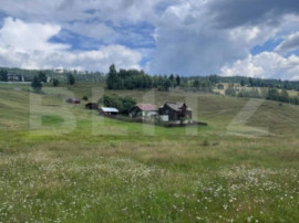 Teren ideal pentru investiție, Șaru Dornei, 36.000 mp