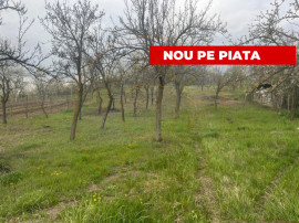 Teren intravilan 2.200 mp cu constructie existenta &ndash;Caline